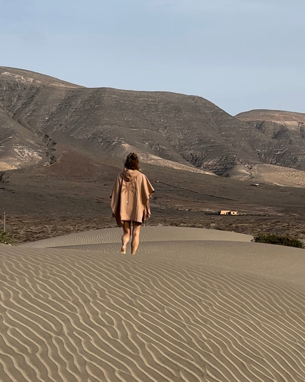 ALOE PARENTHÈSE T-SHIRT